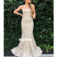 Charming Spaghetti Strap Lace Long Prom Dresses FP1186